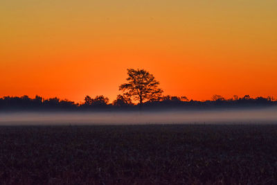 Scenic view of field against orange sky