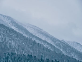 Low angle view of icicles on mountain against sky