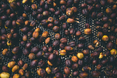 Full frame shot of peanuts on metal