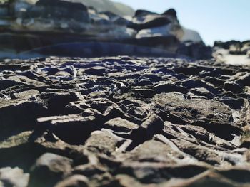 Surface level of rocks on shore