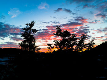 Low angle view of silhouette trees against sky during sunset
