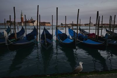Gondolas moored in canal