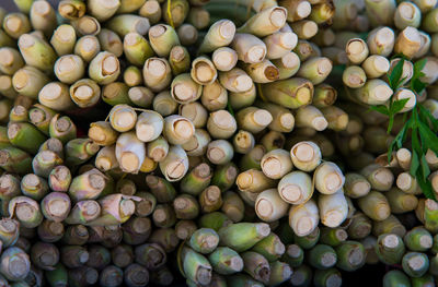 Stacked of lemongrass, bottom view.