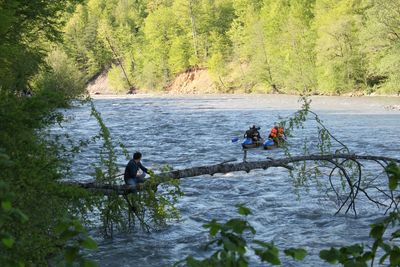Man looking at people rafting in river while sitting on branch