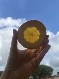 Person holding apple against sky