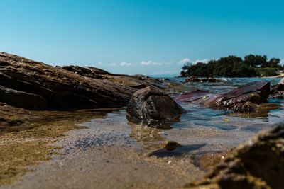 Surface level of driftwood on beach against clear sky