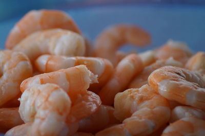 Close-up of prawns