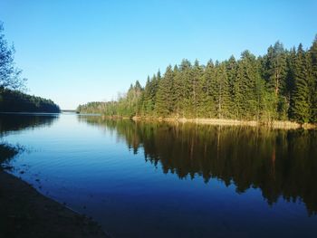 Reflection of trees in calm lake