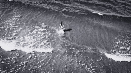 High angle view of man in sea