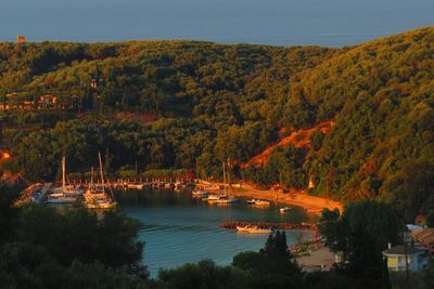 Scenic view of river by trees against sky