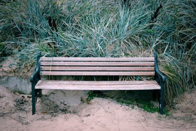 Empty bench on landscape