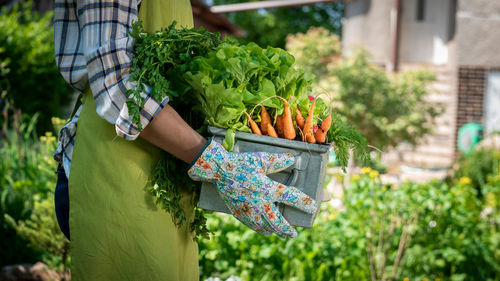 Midsection of woman holding vegetables