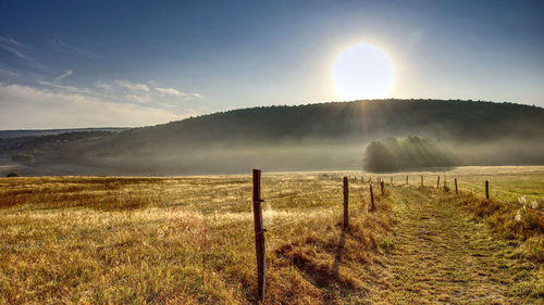 Scenic view of field against sky