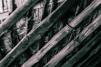 Full frame shot of bamboo plants in forest