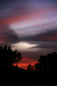 Silhouette trees against dramatic sky during sunset