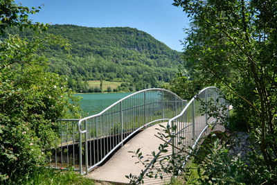 Footbridge over plants and trees against sky