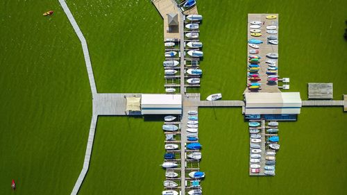 High angle view of grass in water