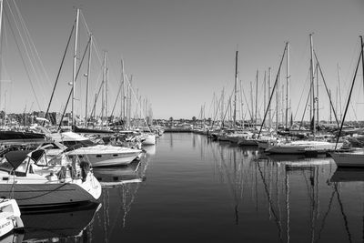 Sailboats moored in harbor