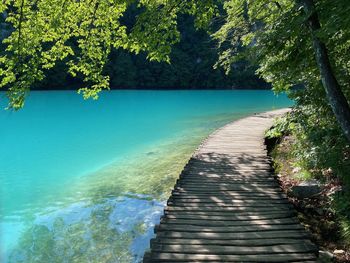 Pier amidst sea and trees