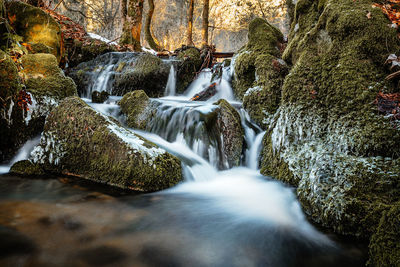 Scenic view of waterfall in forest