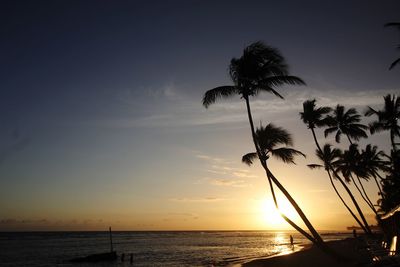 Silhouette palm trees on beach against sky during sunset