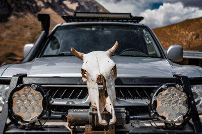 Jeep with a skull on the hood.  brutal car