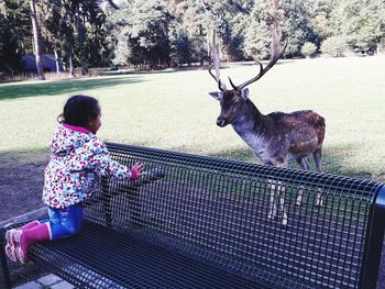 Full length of woman with deer in zoo