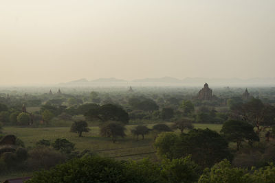 Trees on field against sky during foggy weather
