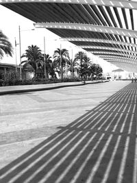 Palm trees by building against sky