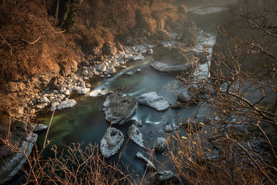 High angle view of rocks by river in forest