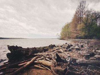 Scenic view of sea against cloudy sky