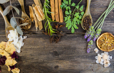 High angle view of potted plant on table