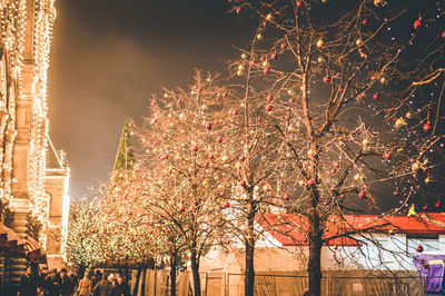 Low angle view of christmas tree at night