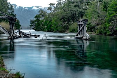 Scenic view of lake in forest