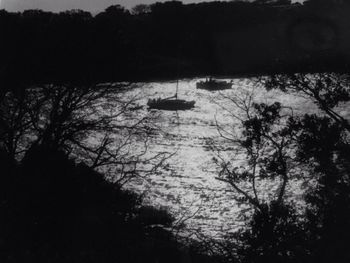 High angle view of silhouette trees by lake in forest