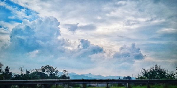 Low angle view of trees against cloudy sky