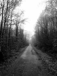 Road amidst bare trees in forest against clear sky