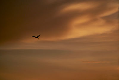 Low angle view of orange sky