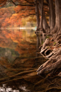 Scenic view of lake