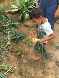 Children playing with plants in background