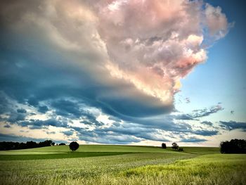 Scenic view of field against sky during sunset