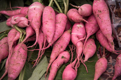 Close-up of pink radishes for sale in market