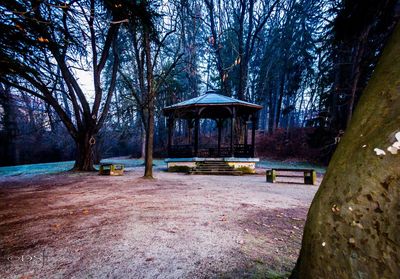 Trees in park