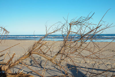 Scenic view of sea against clear blue sky