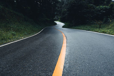 Surface level of road amidst trees in forest