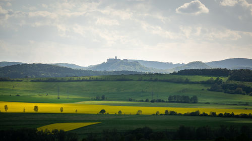 Scenic view of field against sky