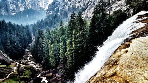 Scenic view of waterfall in forest