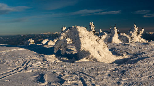 Dead tree on snow covered land against sky