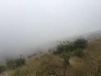 Scenic view of landscape against sky during foggy weather