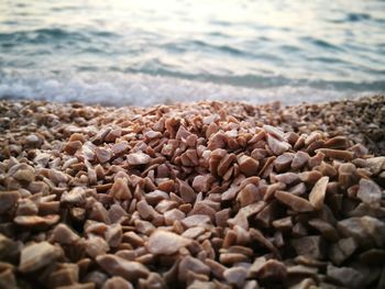 Surface level of pebbles at beach